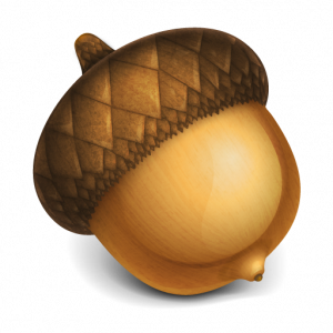 Acorn PNG image, free, acorns-742